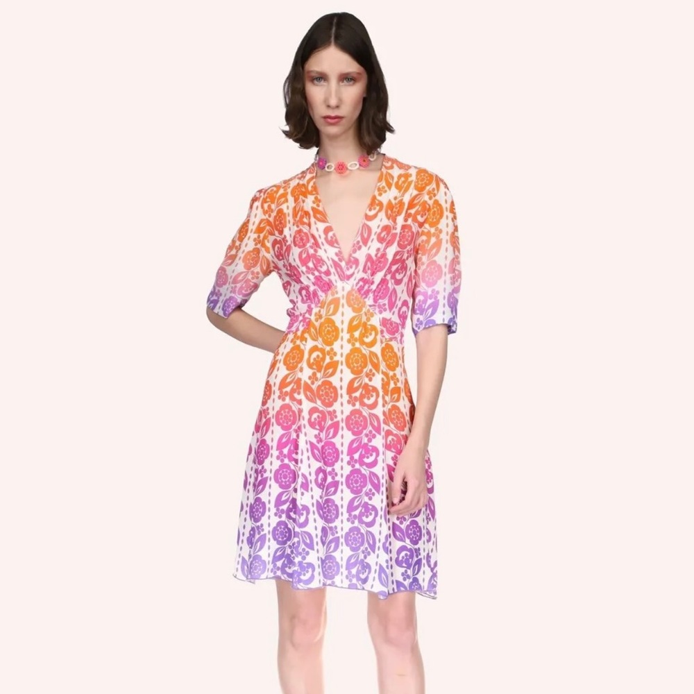 Anna Sui Radiant Ombré Dress Size 8